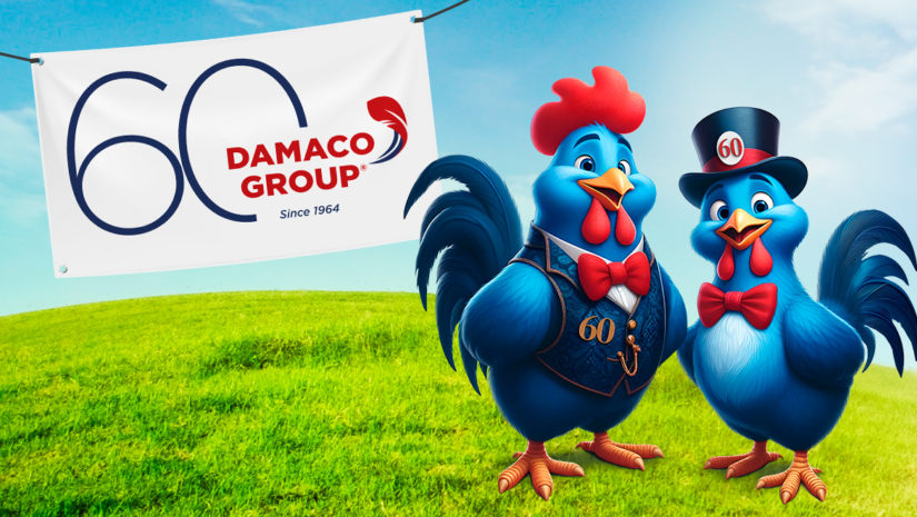 AB communicatie Anders Bekeken Waregem Damaco group brand character