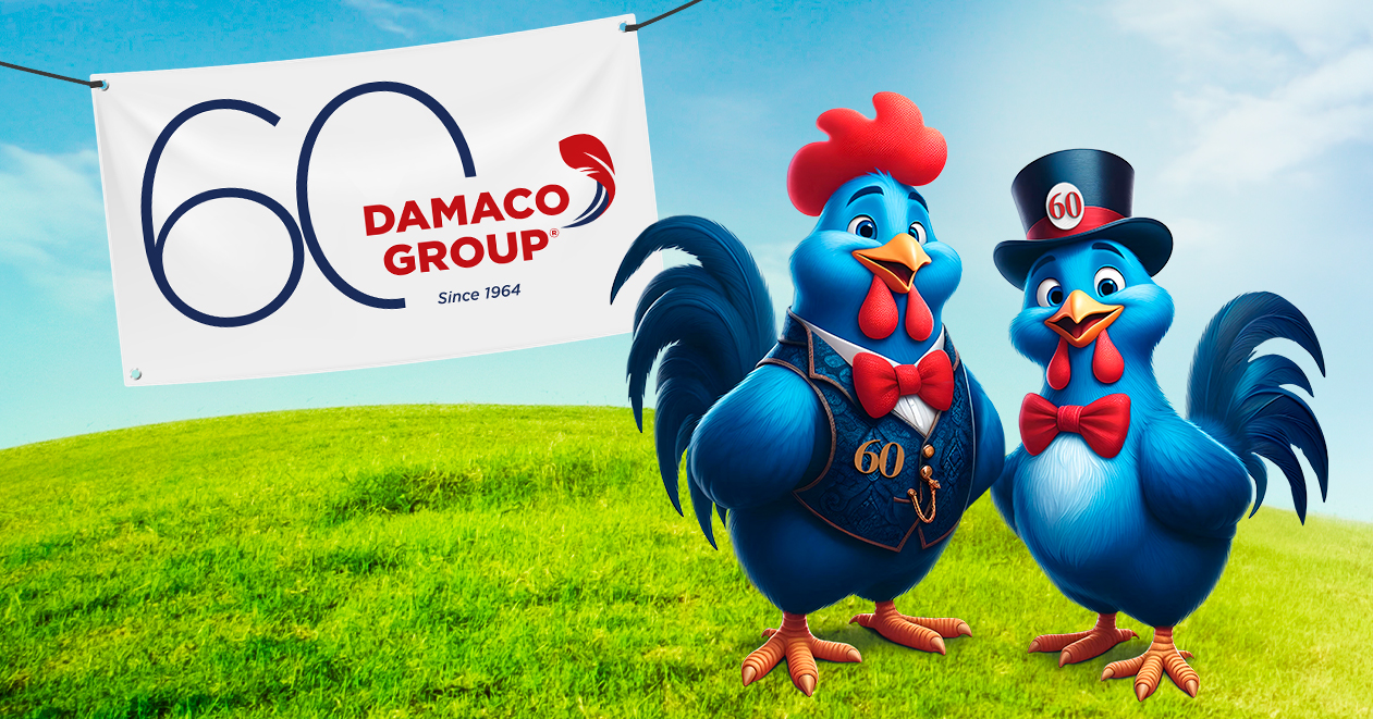 AB communicatie Anders Bekeken Waregem Damaco group brand character